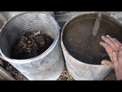 Настой биогумуса своими руками Настой биогумуса своими руками