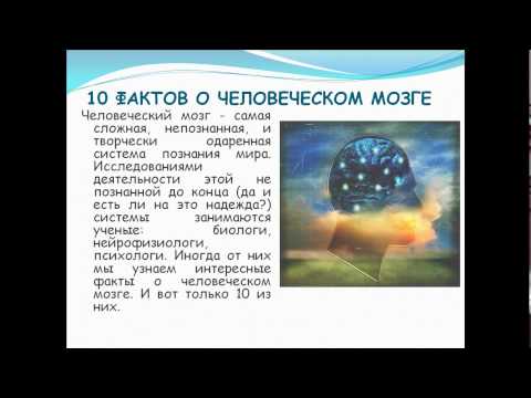 10 фактов о мозге ноутбука хотела закачать