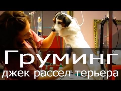 Главная - AQA baby Височный сустав. Проблемы в височных суставах и методы их