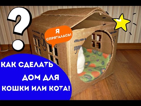 Домики для кошек за 5 минут