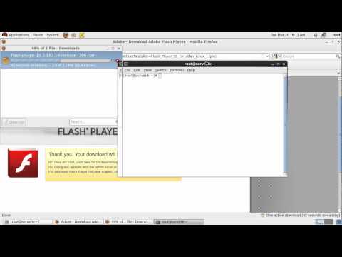 Install Flash Player On Freebsd Install