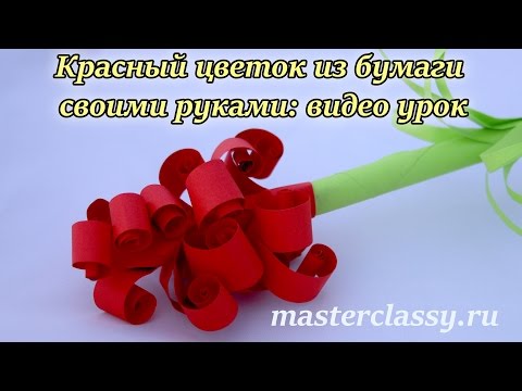 Красный цветок из бумаги своими руками Красный цветок из бумаги своими руками