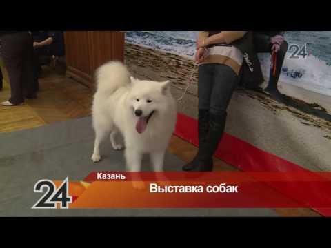 Солярис официальный дилер 2018 новый кузов комплектации и цены Солярис официальный дилер 2018 новый кузов комплектации и цены