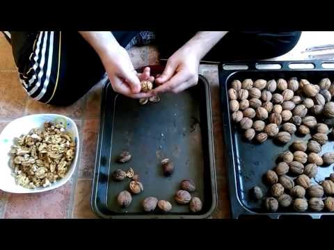 Как быстро почистить грецкие орехи в домашних условиях видео Как быстро почистить грецкие орехи в домашних