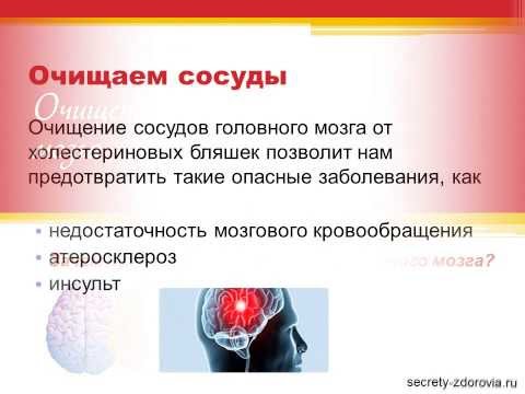 Как очистить мозг в домашних условиях Как очистить мозг в домашних условиях