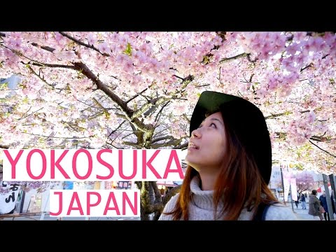 All about japan day