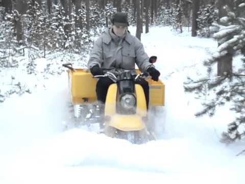 Муравей на гусеницах Муравей на гусеницах