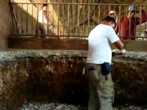 Watch Pig Pen 4shared Mp3