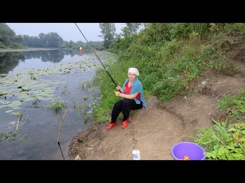 рыбалка на закидушки в камышах видео рыбалка на закидушки в камышах видео