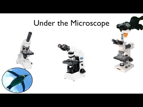 Microscope Parts