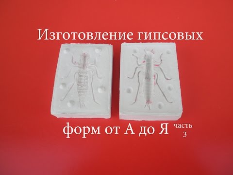 Форма для отливки гипса