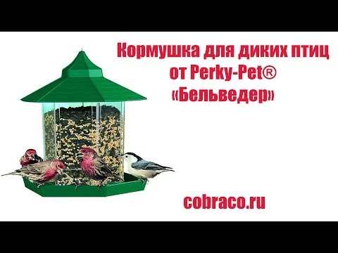 Кормушка для диких птиц
