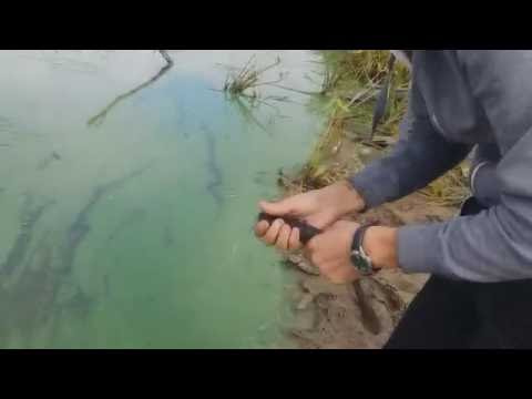рыбалка видео на кольцо волхов рыбалка видео на кольцо волхов