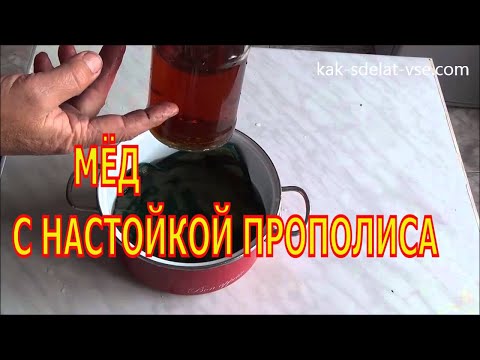 Чем очистить прополис от примесей в домашних условиях Чем очистить прополис от примесей в домашних условиях