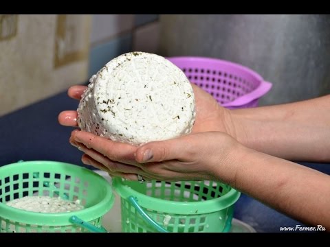Сир своими руками Сир своими руками