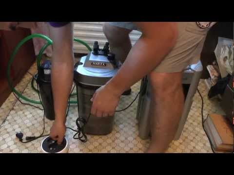 Фильтр для черепахи видео