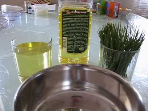 Сосновое масло своими руками Сосновое масло своими руками