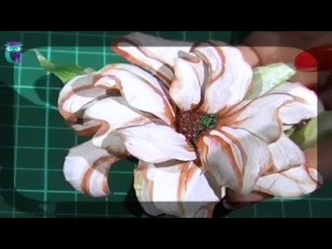 Мастер класс для всех видео Мастер класс для всех видео