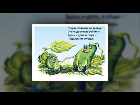 Стих про огурчик 192