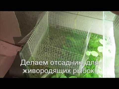 Нерестовик своими руками Нерестовик своими руками