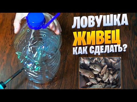 Как сделать ловушку для рыбы из пластиковой бутылки Как сделать ловушку для рыбы из пластиковой бутылки