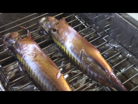 Как скумбрию сделать горячего копчения Как скумбрию сделать горячего копчения