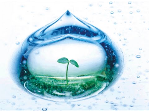 Вода краснова Вода краснова