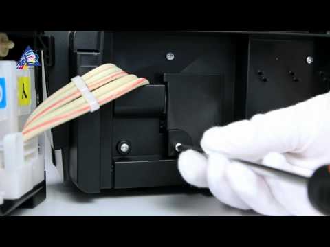 Как заменить памперс на epson xp-800