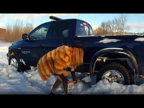 Dodge Ram баран